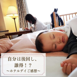 ホテルデイプラン感想