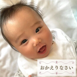ホテルデイ 感想